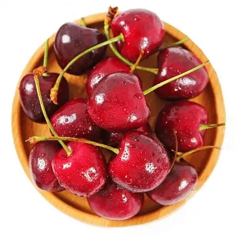 Shop Primary Image